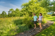 <h5>Der Barfußweg</h5><p>Wellness für die ganze Familie</p>